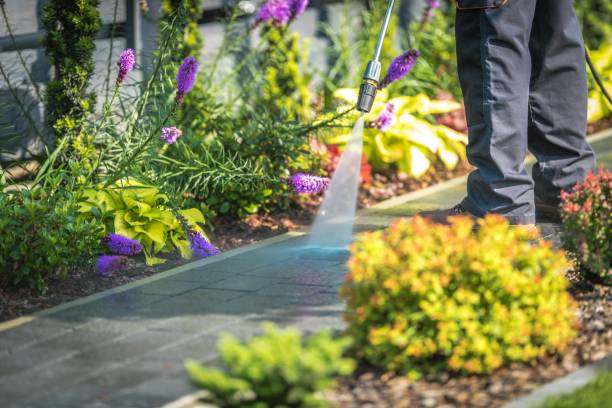Best Restaurant Pressure Washing  in Kankakee, IL